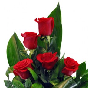 9 красных роз Фридом 90 см