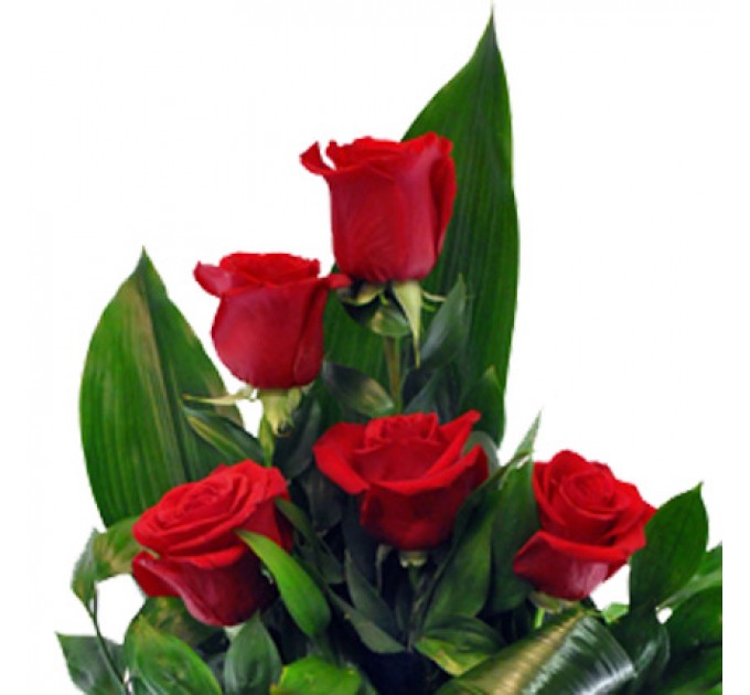 9 красных роз Фридом 90 см