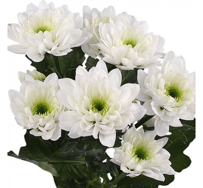 Букет "Ты прекрасна!"