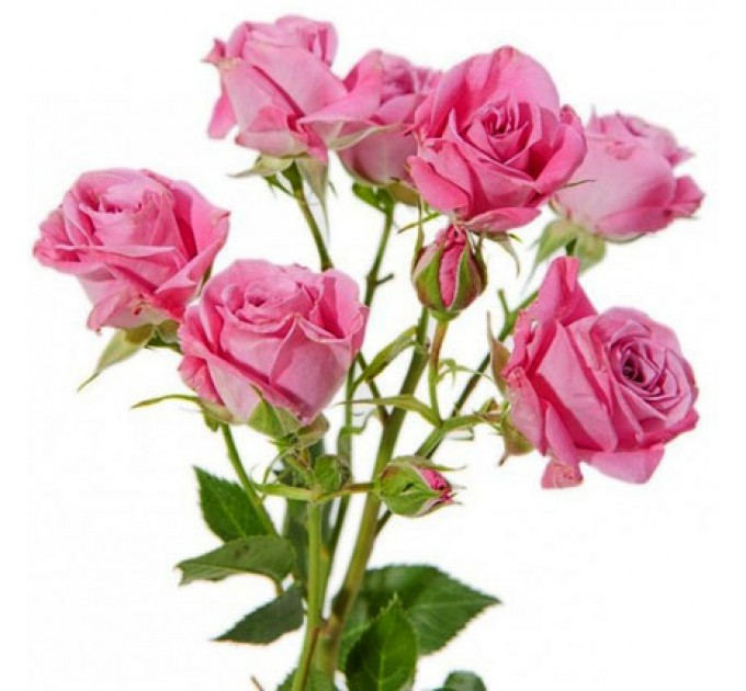 Букет "Ты прекрасна!"