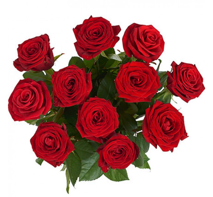 11 красных роз с воздушными шарами