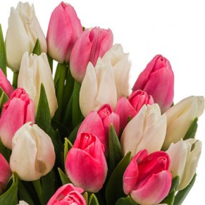 Букет тюльпанов "Нежность" Букет тюльпанов "Нежность"