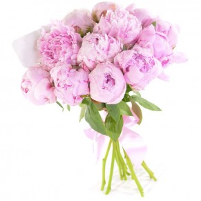 17 рожевих півонії