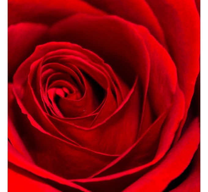 Цветы в коробке "I Love You"