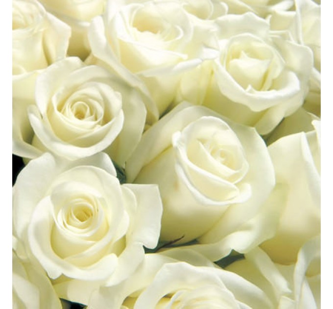 Цветы в коробке "Нежные объятия"