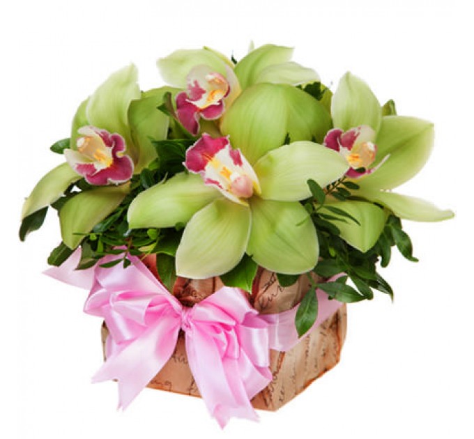 Цветы в коробке "Сказочные орхидеи"