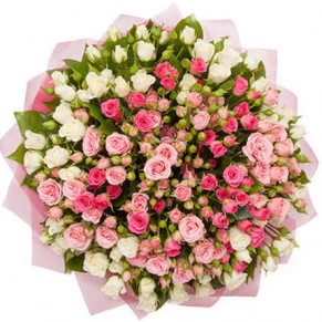 51 кущова троянда Мікс 60 см 51 кущова троянда Мікс 60 см