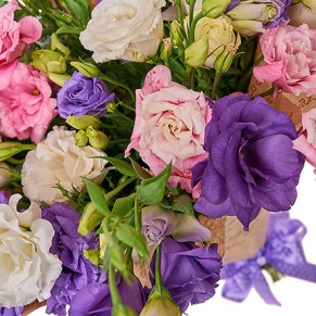 11 різнокольорових еустом 11 різнокольорових еустом