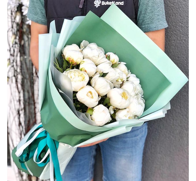 19 белых пионов