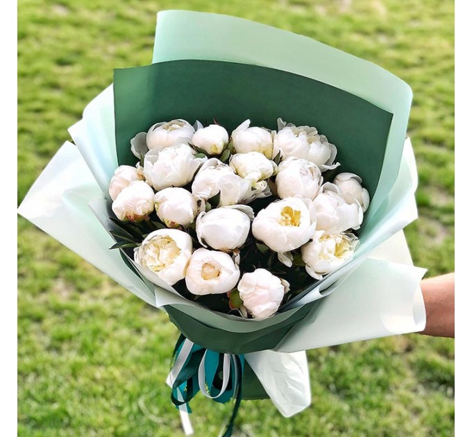 19 белых пионов