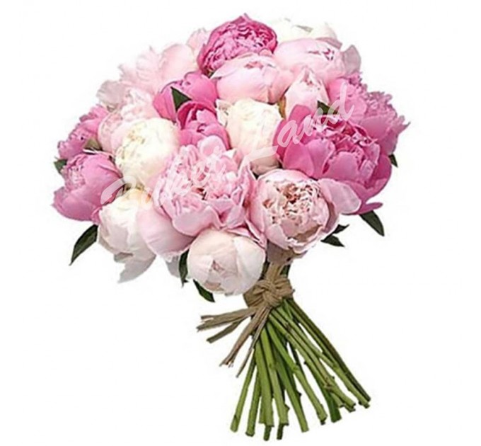 19 пионов микс 1