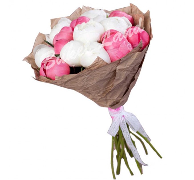 19 пионов микс 2