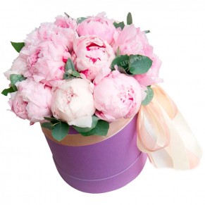 19 пионов микс в шляпной коробке