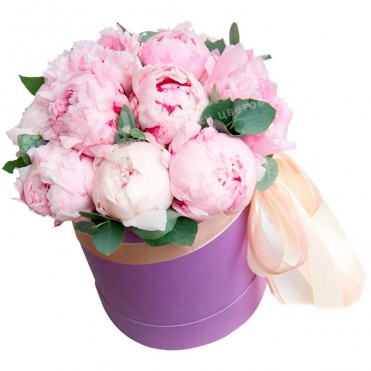 19 пионов микс в шляпной коробке