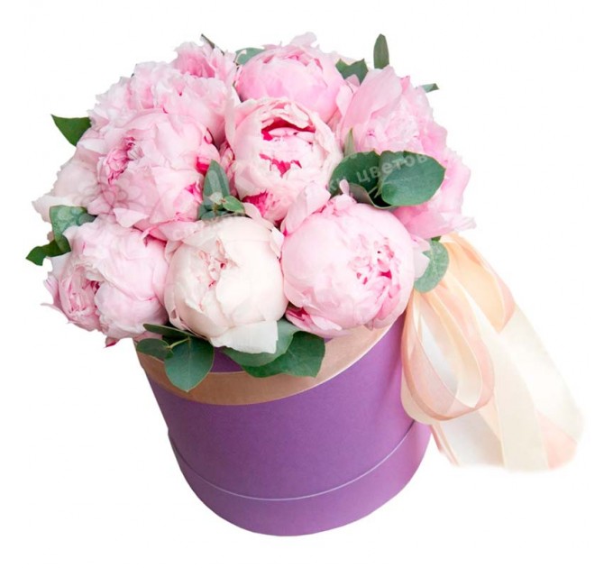 19 пионов микс в шляпной коробке