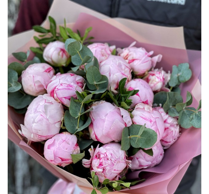 19 розовых пионов