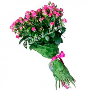 19 рожевих троянд спрей 60 см