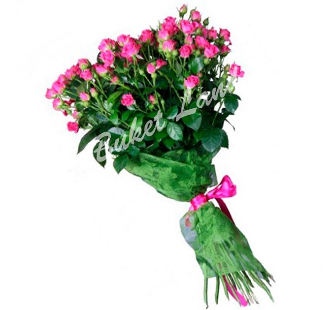 19 розовых роз спрей 60 см