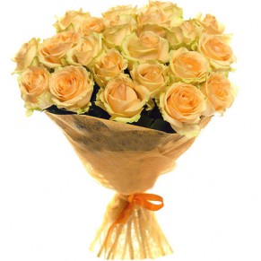 21 кремова троянда Піч Аваланч 60 см