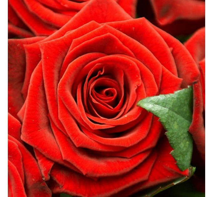 Композиция в коробке "Любимой"