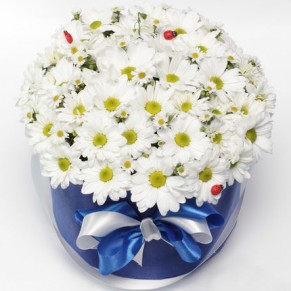 Цветы в коробке "Гадание на любовь"