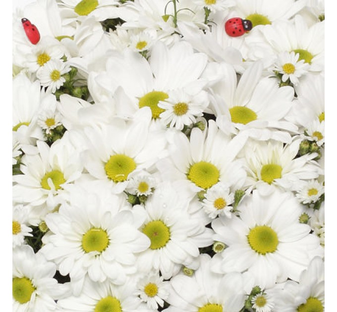 Цветы в коробке "Гадание на любовь"