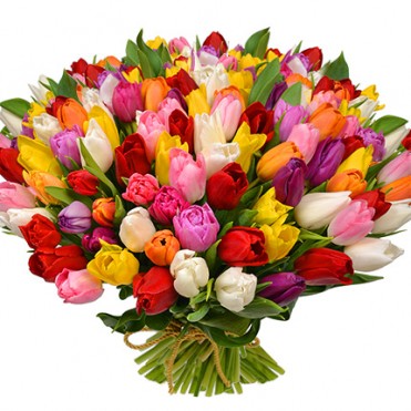 101 кольоровий тюльпан!