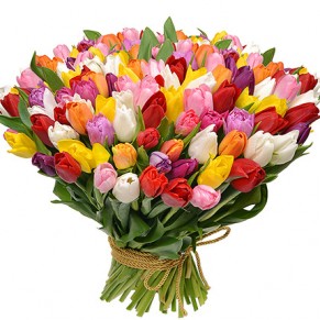 101 кольоровий тюльпан! 101 кольоровий тюльпан!