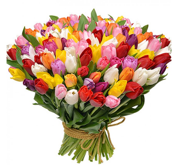 101 кольоровий тюльпан!