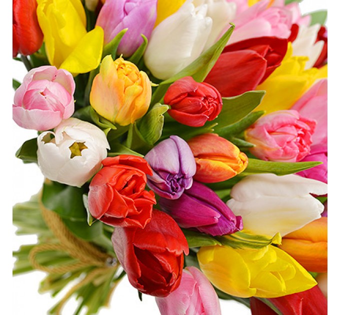 101 кольоровий тюльпан!