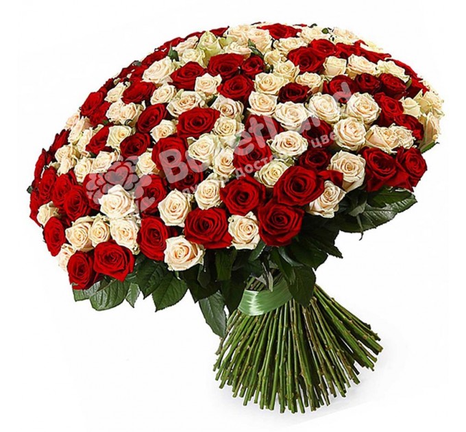 201 роза микс красно-белая 60 см