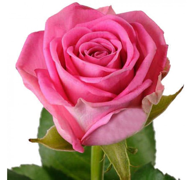 Цветы в коробке "Модный стиль"