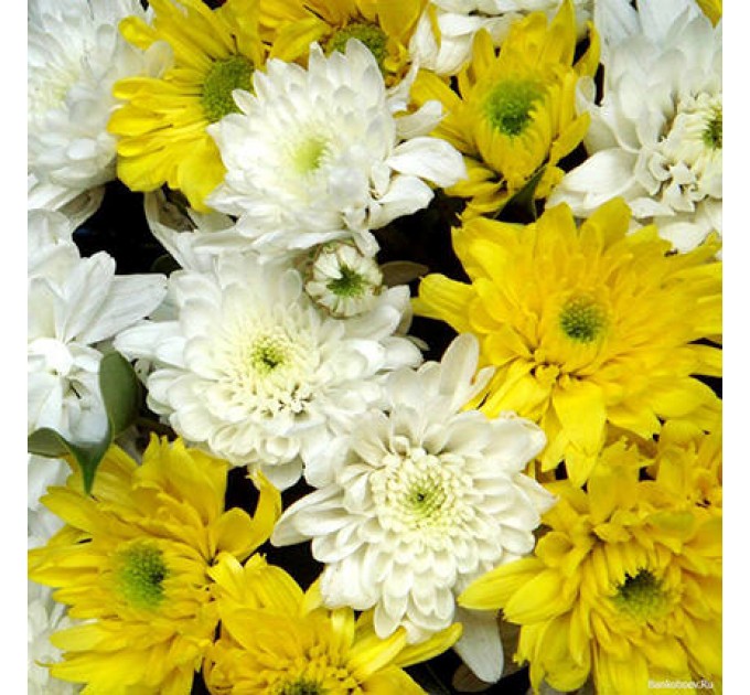 Букет "Золотце!"