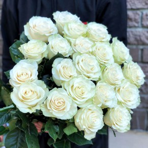 21 еквадорська троянда Мондіаль 80-90 см 21 еквадорська троянда Мондіаль 80-90 см