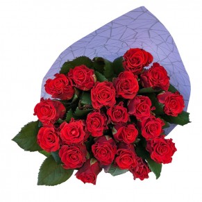 21 красная роза 50 см Эль Торо