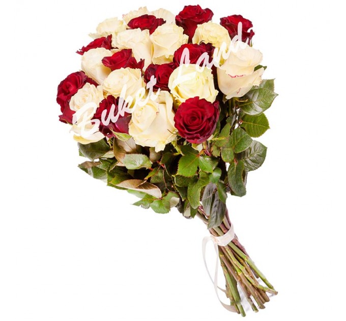 21 роза микс «красно-белая» 60 см