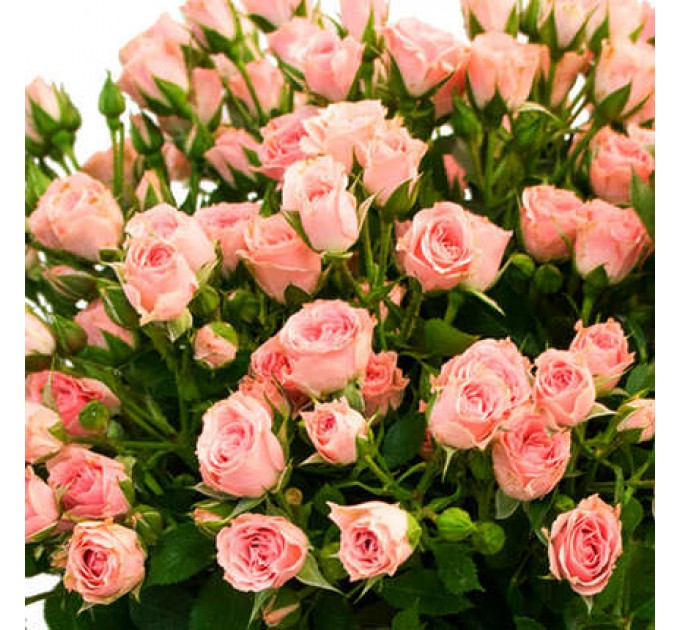 Букет "Изюминка"