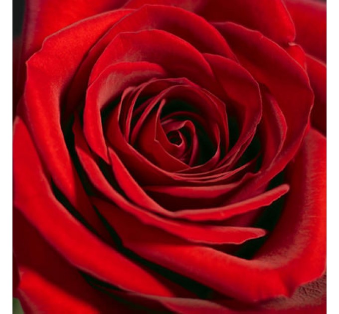 Композиція "Зворушливий презент"