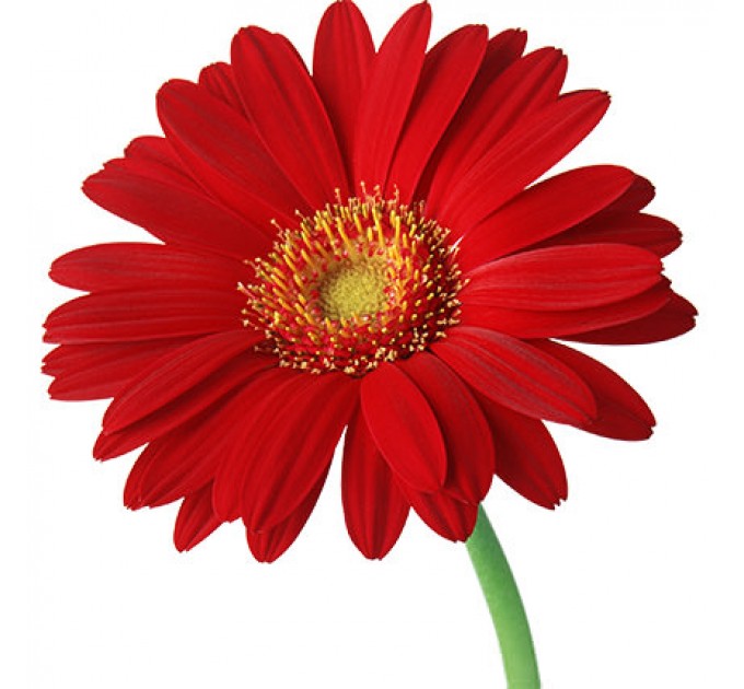 Осенний букет "Яркая персона"