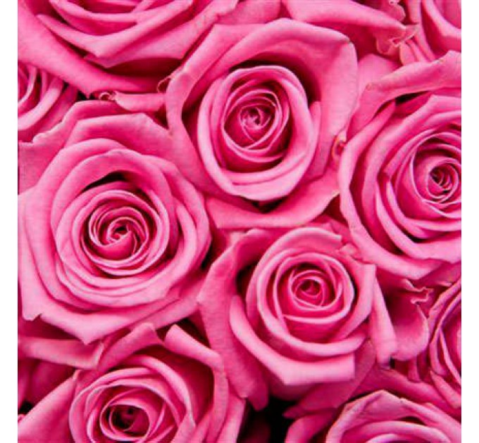 Букет із 7 рожевих троянд Аква 60см