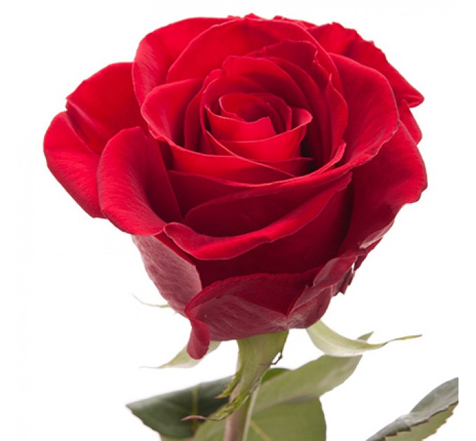 Букет "Прямо в сердце!"