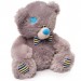 Мишка серый (в латках)