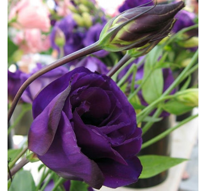 Букет "Сладкая жизнь!"