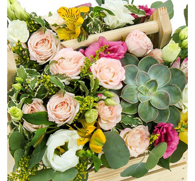 Композиция в кашпо "Летняя свежесть"