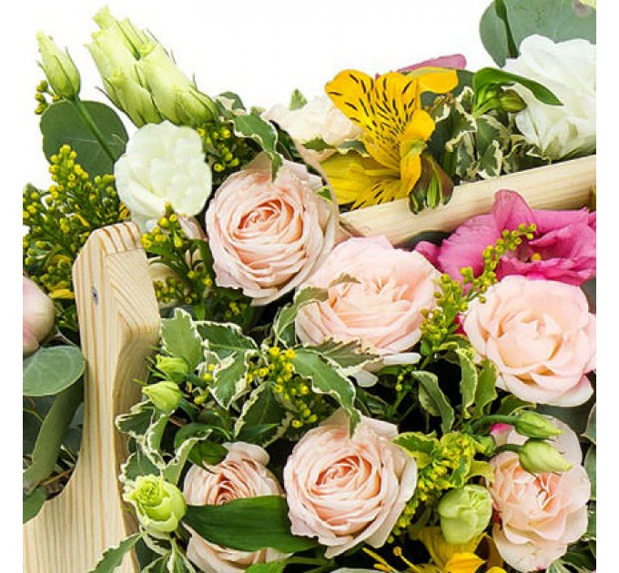 Композиция в кашпо "Летняя свежесть"