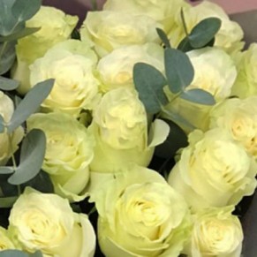 Букет "Згадуй мене!" троянда Мондіаль 90-100 см 25 шт Букет "Згадуй мене!" троянда Мондіаль 90-100 см 25 шт