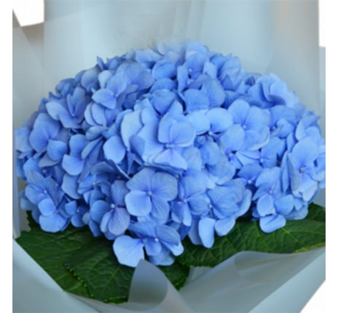 Романтичный букет "Чудо"