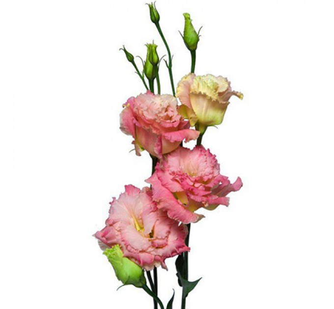 Букет "Мой номер №1"