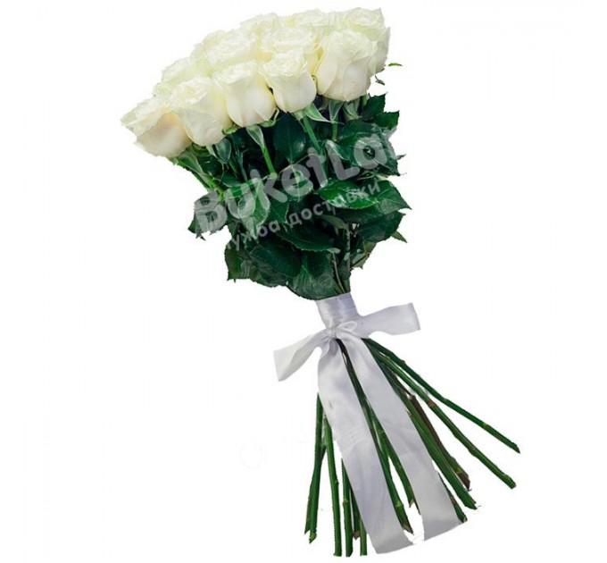 25 белых голландских роз Mondial/White Chocolate