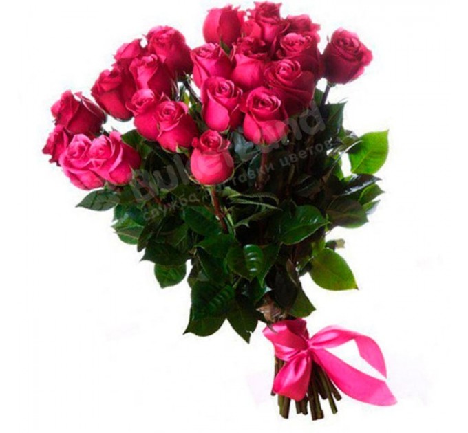 25 эквадорских роз 80 см в ассортименте